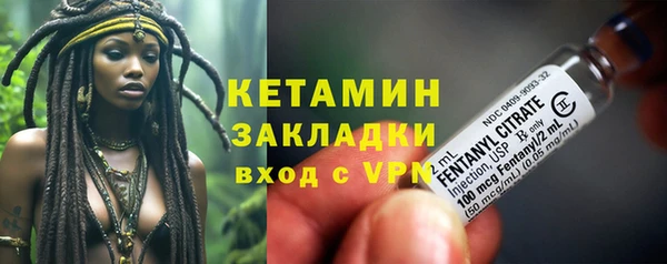 ПСИЛОЦИБИНОВЫЕ ГРИБЫ Арсеньев