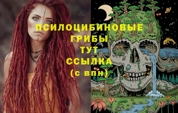 ПСИЛОЦИБИНОВЫЕ ГРИБЫ Арсеньев