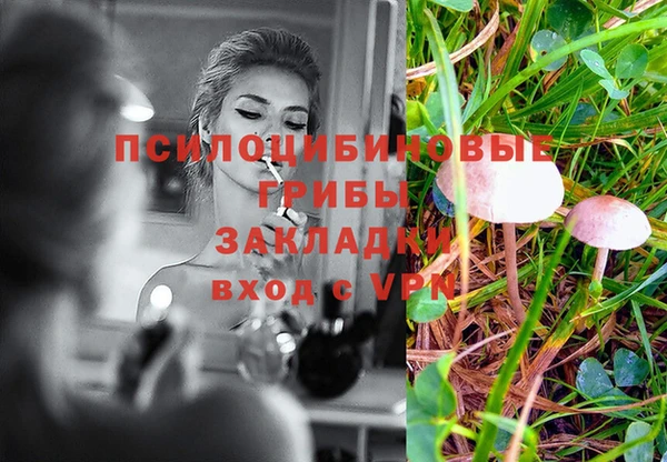 бутират Баксан