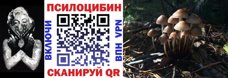 MEGA маркетплейс  Балашиха  Псилоцибиновые грибы прущие грибы  даркнет сайт 